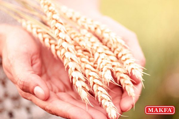 makfa, служба качества, день качества makfa, служба качества, день качества